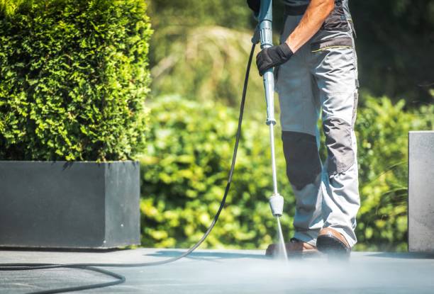 Best Paint Preparation  in North Madison, OH